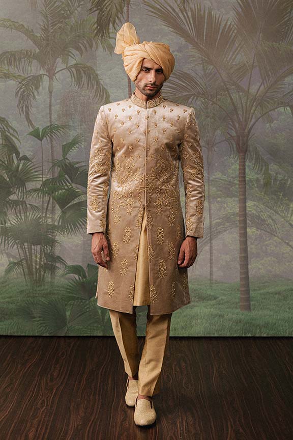 ER - 111 Champagne Gold Velvet Embroidered Sherwani
