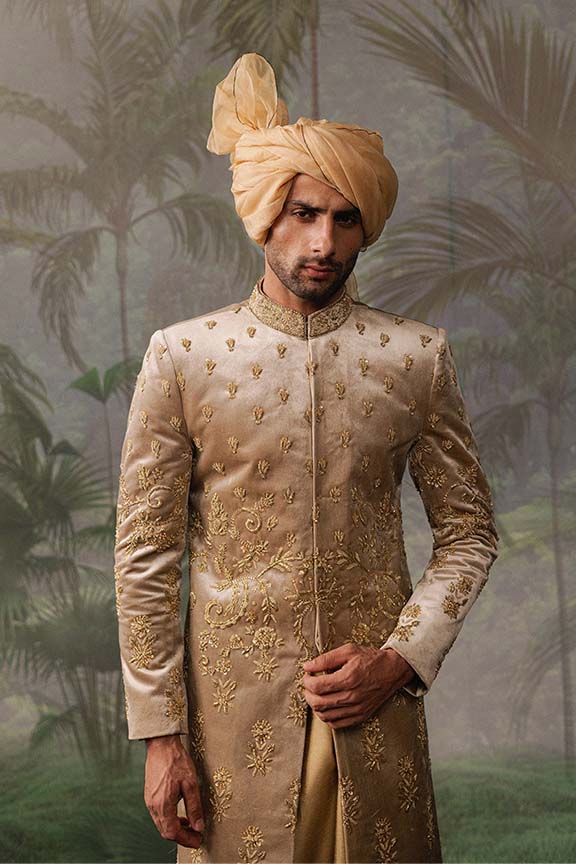 ER - 111 Champagne Gold Velvet Embroidered Sherwani