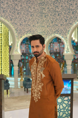 ED25 - Light Brown Neck Embellished Kurta Pajama